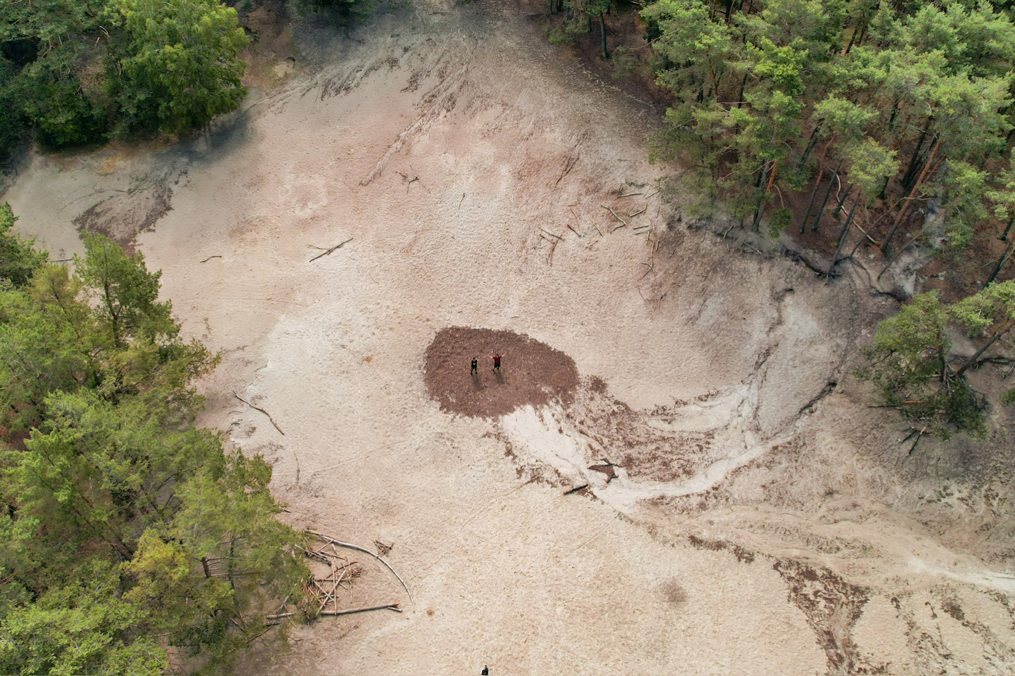Sandkrater im Wald. in Nähe Bremen/Syke — Freizeitangebot Bild